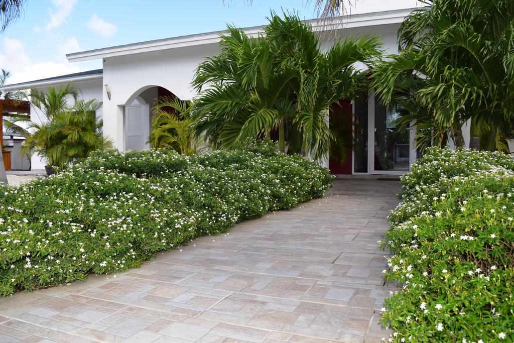 Ladybugs Apartments Palm Beach Eksteriør billede