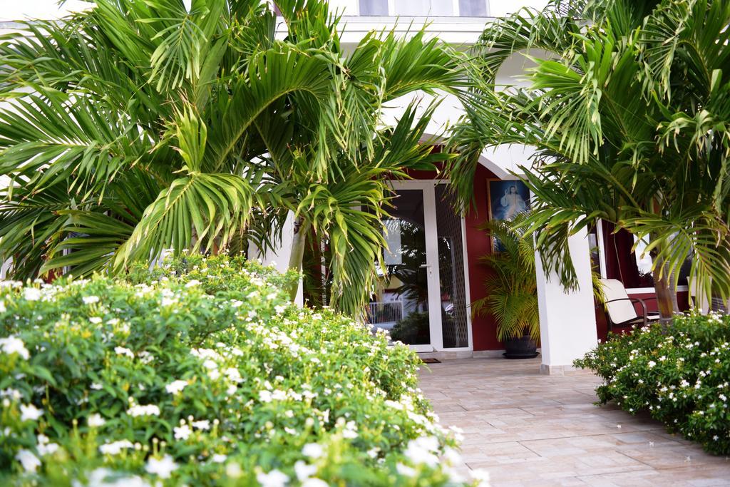 Ladybugs Apartments Palm Beach Eksteriør billede